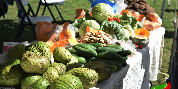 PS IN MINISTRY OF AGRICULTURE SAYS FARMERS AND FISHERS BENEFITED GREATLY FROM GOVERNMENT ASSISTANCE PROGRAMME