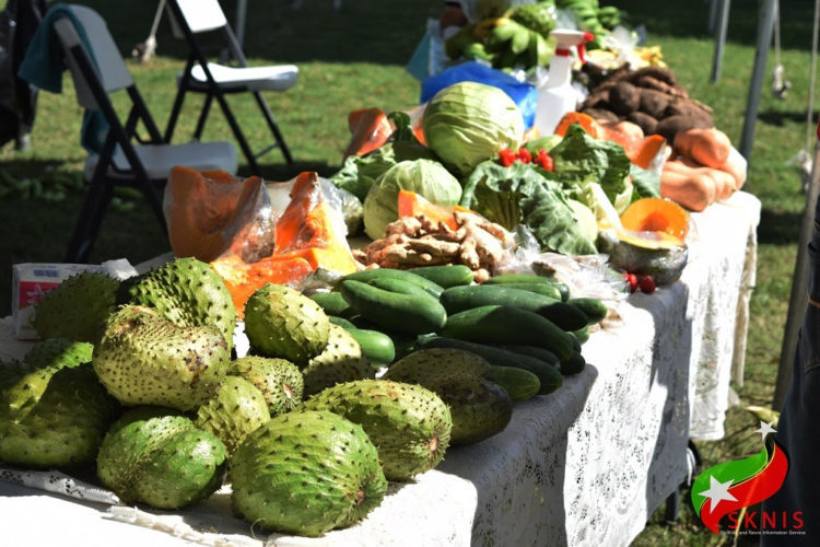 PS IN MINISTRY OF AGRICULTURE SAYS FARMERS AND FISHERS BENEFITED GREATLY FROM GOVERNMENT ASSISTANCE PROGRAMME