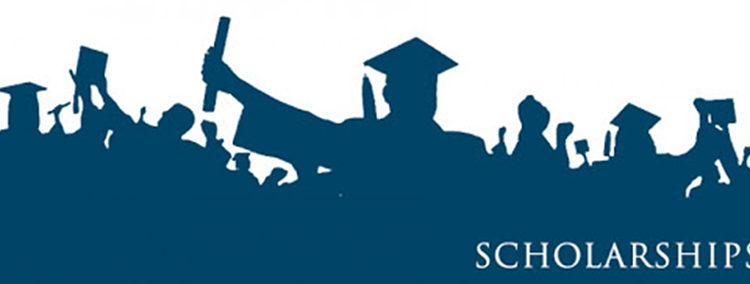 OAS Scholarship Opportunities