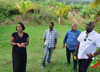 WOMEN PLAY A PIVOTAL ROLE IN THE DEVELOPMENT OF AGRICULTURE WITHIN THE FEDERATION