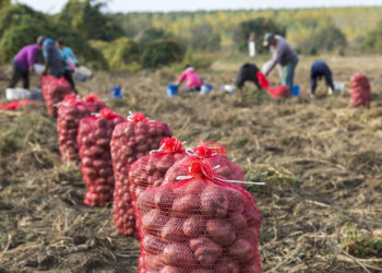 Canada reviews quarantine requirements for Temporary Foreign Workers (TFWs)