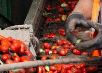 PROCAGICA boosts infrastructure used for wet coffee pulping in Nicaraguan municipalities