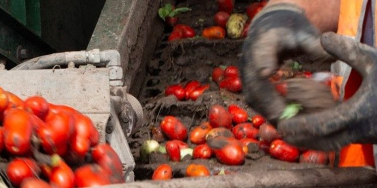 PROCAGICA boosts infrastructure used for wet coffee pulping in Nicaraguan municipalities