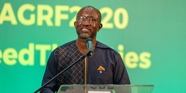 Africa seeks the cooperation of Latin America and the Caribbean in the areas of export development, soil recovery and reforestation