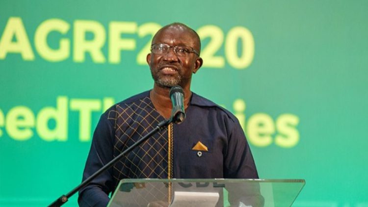 Africa seeks the cooperation of Latin America and the Caribbean in the areas of export development, soil recovery and reforestation