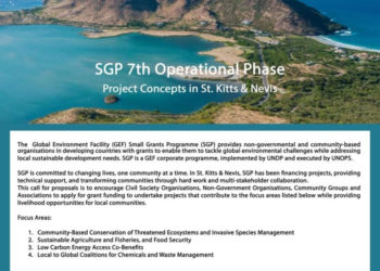 Notice – Bulletin: Calls for Proposal-Small Grants Programme