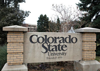 GS-OAS-SEDI-DHDEE-PAEC Scholarships available for Colorado State University