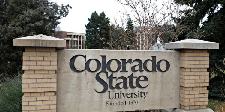 GS-OAS-SEDI-DHDEE-PAEC Scholarships available for Colorado State University