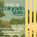 OAS-Colorado State University Scholarship Opportunity