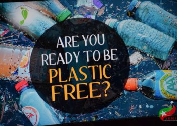 ST. KITTS AND NEVIS BEGINS CONSULTATIONS TO BAN SINGLE-USE PLASTICS  