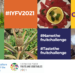 FAO serves up four challenges in Latin America and the Caribbean to encourage more consumption of fruits and vegetables