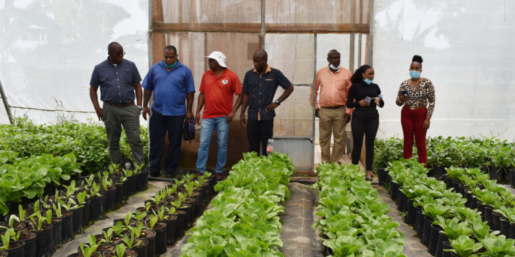 STEP Director Greene visits businesses hosting STEP interns in Nevis