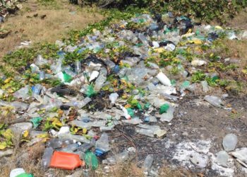 Are you ready to go plastic free?