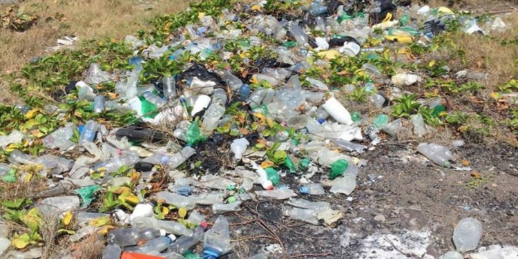 Are you ready to go plastic free?