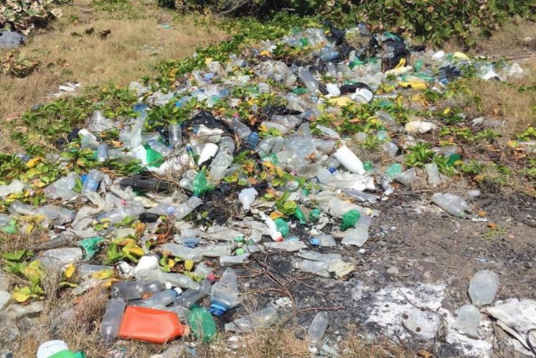 Are you ready to go plastic free?