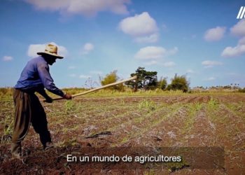 “The sun will shine brighter, tomorrow will be better”: Still relevant, The Farmer’s Anthem brings hope to the Caribbean
