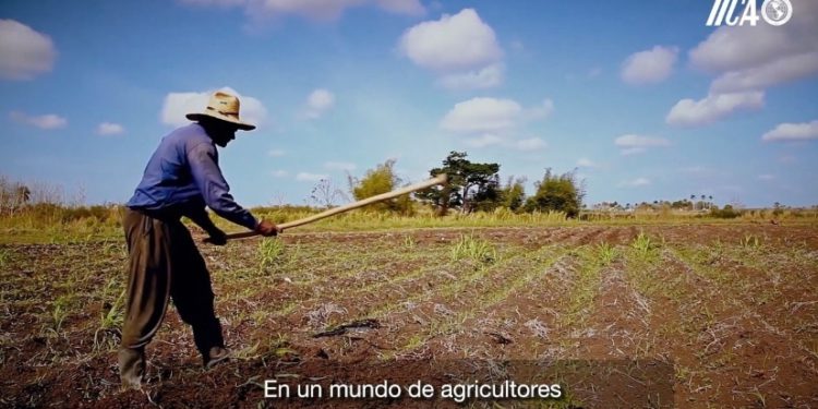 “The sun will shine brighter, tomorrow will be better”: Still relevant, The Farmer’s Anthem brings hope to the Caribbean