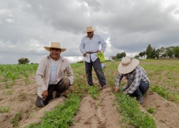 Specialists propose participatory review of the Latin American and Caribbean territorial development model
