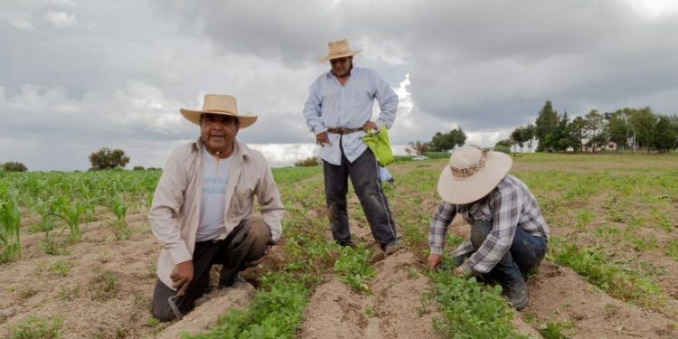 Specialists propose participatory review of the Latin American and Caribbean territorial development model