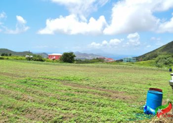 PRIME MINISTER HARRIS WELCOMES ATTEMPTS TO FURTHER DIVERSIFY THE FEDERATION’S ECONOMY