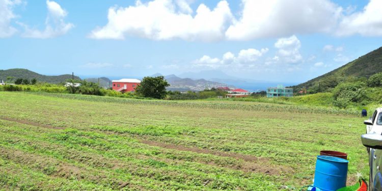 PRIME MINISTER HARRIS WELCOMES ATTEMPTS TO FURTHER DIVERSIFY THE FEDERATION’S ECONOMY