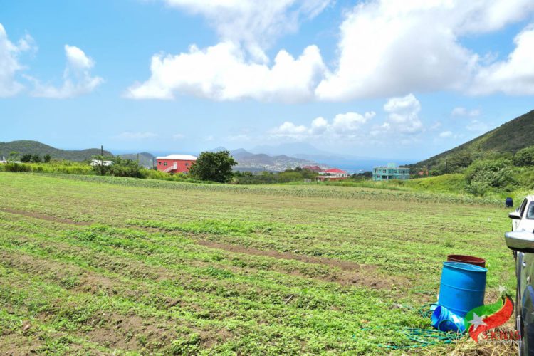 PRIME MINISTER HARRIS WELCOMES ATTEMPTS TO FURTHER DIVERSIFY THE FEDERATION’S ECONOMY