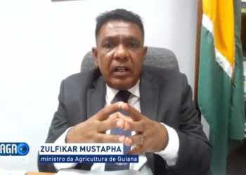 Having expanded rice and sugar production, Guyana aims to diversify further, says Minister of Agriculture, Zulfikar Mustapha, in a Brazilian TV interview