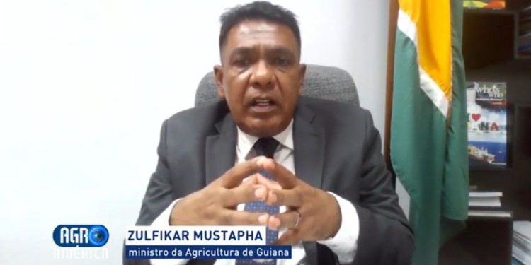 Having expanded rice and sugar production, Guyana aims to diversify further, says Minister of Agriculture, Zulfikar Mustapha, in a Brazilian TV interview