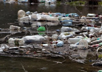 BIOSAFETY OFFICER WITHIN THE MINISTRY OF ENVIRONMENT EXPLAINS PROCESS OF BIODEGRADATION OF PLASTICS