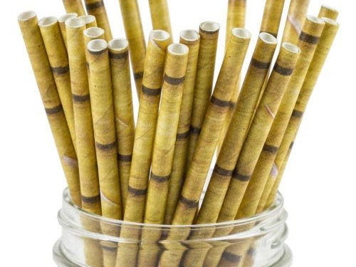 SOME ENVIRONMENTALLY-CONSCIOUS BUSINESSES IN THE FEDERATION HAVE ALREADY STARTED USING ALTERNATIVES TO SINGLE-USE PLASTICS