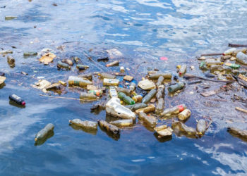 TWELVE CARIBBEAN COUNTRIES HAVE SINCE BANNED SINGLE-USE PLASTICS