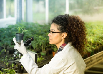 Together with SENASICA, IICA contributes to strengthening agrifood health and safety in Mexico