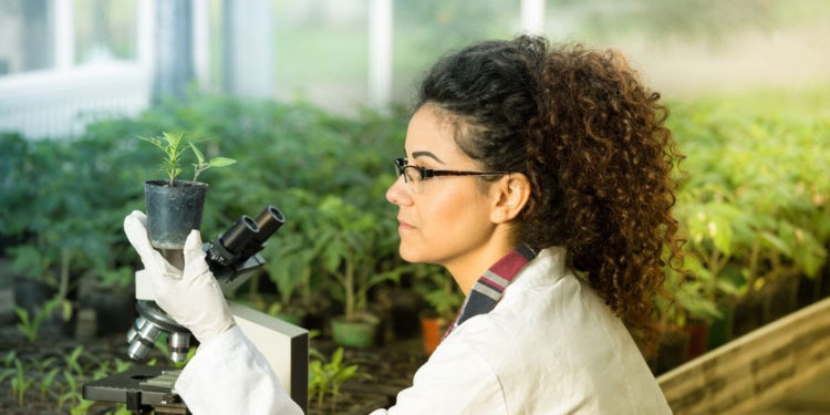 Together with SENASICA, IICA contributes to strengthening agrifood health and safety in Mexico