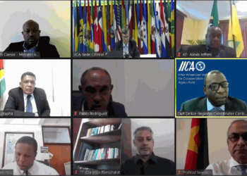 Caribbean ministers highlighted IICA’s role in tackling food insecurity and discussed new challenges stemming from the pandemic