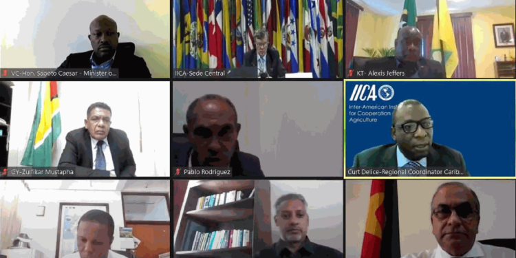 Caribbean ministers highlighted IICA’s role in tackling food insecurity and discussed new challenges stemming from the pandemic