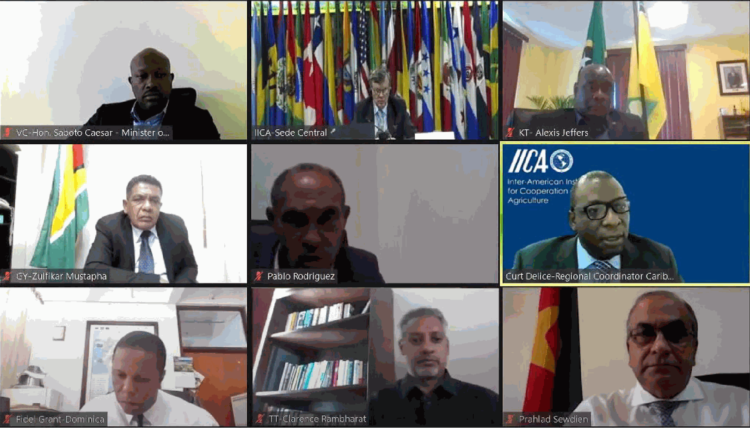 Caribbean ministers highlighted IICA’s role in tackling food insecurity and discussed new challenges stemming from the pandemic