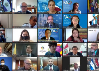 Agriculture in the Americas will play a key role in post-pandemic global recovery due to its production potential