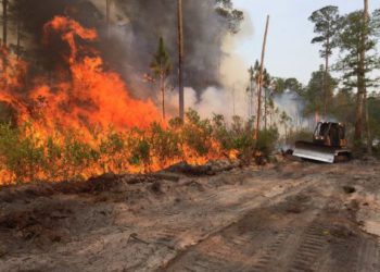 MOST WILDFIRES IN THE FEDERATION ARE DELIBERATELY LIT; FIRE DEPARTMENT CALLS ON CULPRITS TO STOP