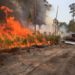 MOST WILDFIRES IN THE FEDERATION ARE DELIBERATELY LIT; FIRE DEPARTMENT CALLS ON CULPRITS TO STOP
