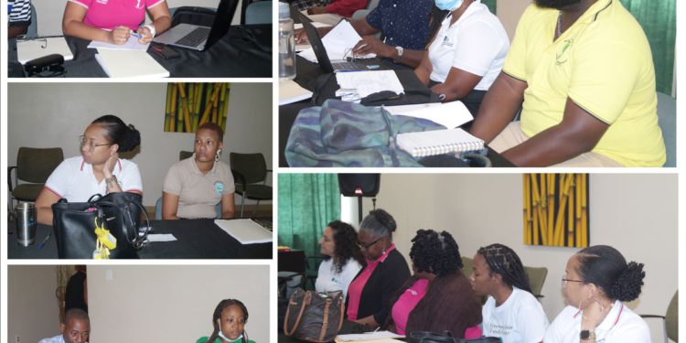 DEPARTMENT OF ENVIRONMENT HOLDS IN-HOUSE CONSULTATIONS TO REVIEW NCEMA