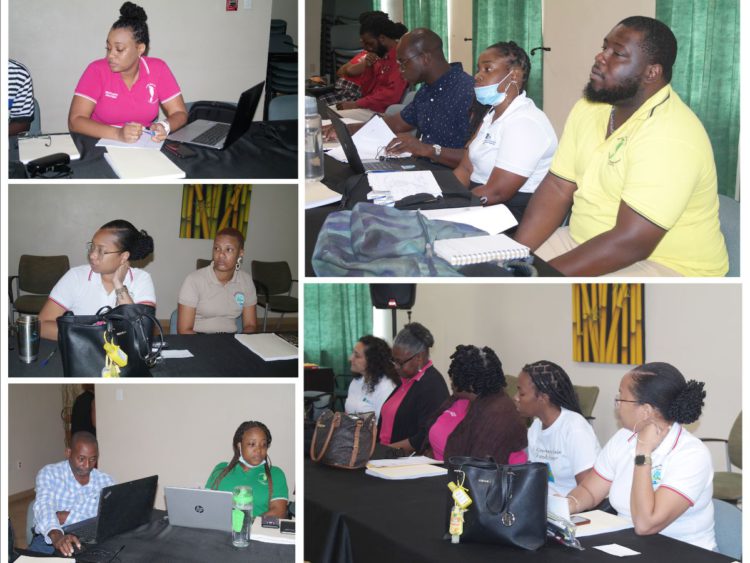 DEPARTMENT OF ENVIRONMENT HOLDS IN-HOUSE CONSULTATIONS TO REVIEW NCEMA