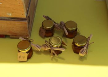 MINISTRY OF AGRICULTURE ABUZZ WITH DEVELOPING BEEKEEPING SECTOR SAYS MINISTER JEFFERS   