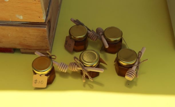 MINISTRY OF AGRICULTURE ABUZZ WITH DEVELOPING BEEKEEPING SECTOR SAYS MINISTER JEFFERS