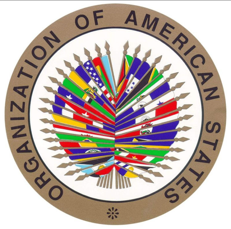 Calls for Applications for OAS Academic Scholarships 2021