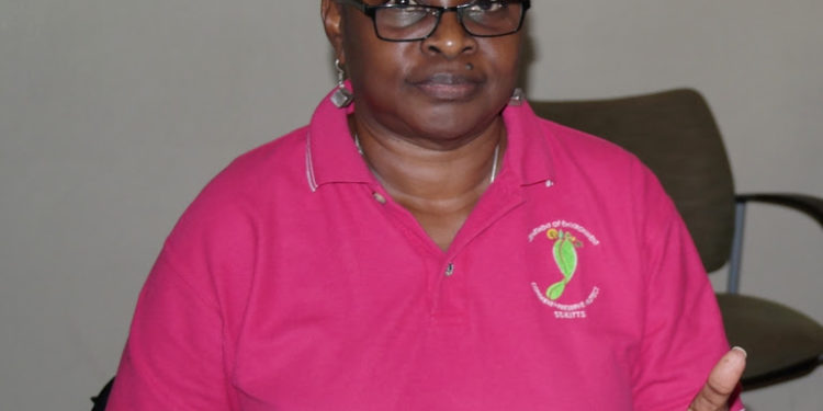 DEPARTMENT OF ENVIRONMENT HOLDS IN-HOUSE CONSULTATIONS TO REVIEW NCEMA