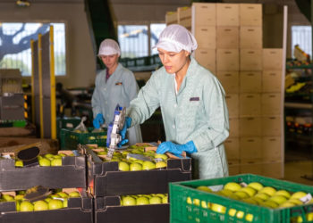 Registration now open for the course on international trade and agriculture for the SICA region