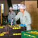 Registration now open for the course on international trade and agriculture for the SICA region