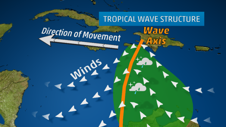TROPICAL WAVE FORMS EAST OF WINDWARD ISLANDS  
