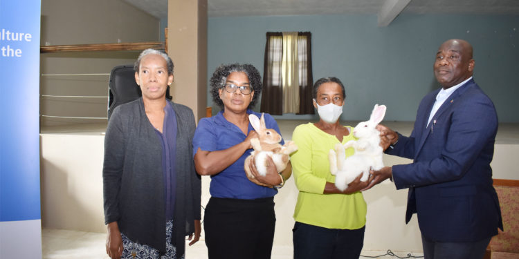 IICA Rabbit Rearing Project beneficiaries to attend workshop on agriculture, health and food safety