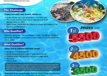 INVITATION – OECS ReMLit News Editors Huddle – July 7th